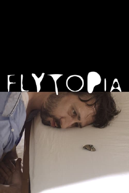 постер Flytopia